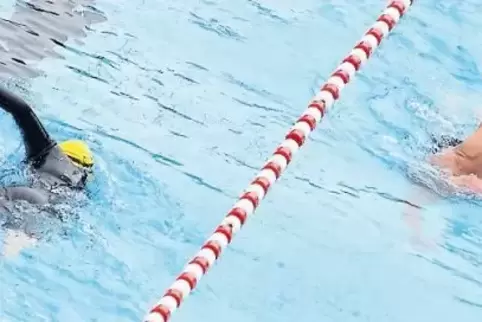 Zehn Cent pro Kilometer kommen der Mosaikschule zugute.