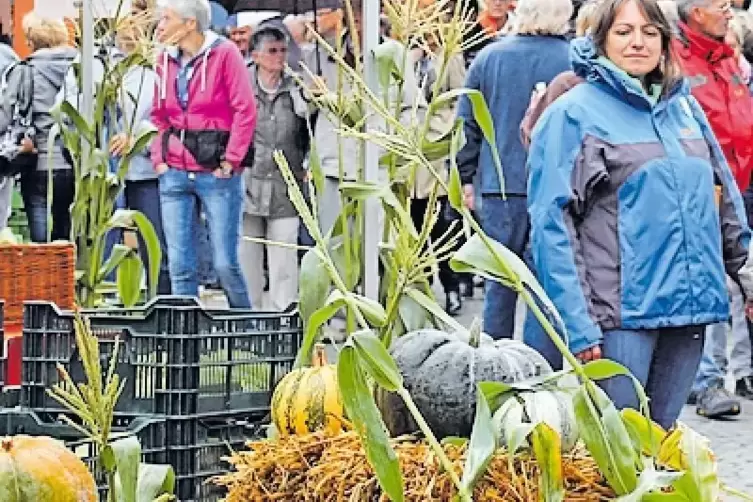 Farbenfroh: Stillleben am Marktbrunnen.
