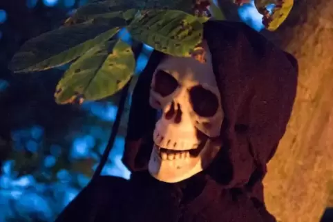 Gruselig: Als Selbstmord-Ankündigung wurde ein Halloween-Bild im Internet gewertet. ARCHIVFoto: JULIA HOFFMANN 