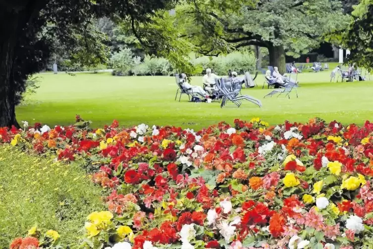 Der Mannheimer Luisenpark lockt mit seiner Blumenpracht viele Besucher an.