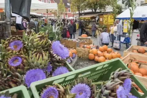 Artischockenblüten und Kürbisse: Regionale Erzeuger boten auf dem Ramsteiner Bauernmarkt viele ländliche Produkte an. Foto: VIEW