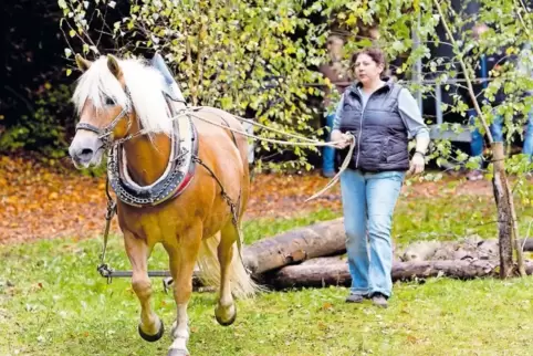 Ein Team in Erlenbach: Alexandra Gold (RV Münstermaifeld) ist mit Bella auf der Strecke.