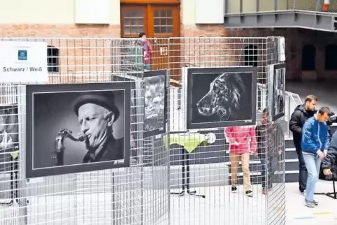 Vorab zu sehen: Die 30 Siegerbilder des Wettbewerbs für Hobbyfotografen der Pirmasenser Fototage sind bereits im Atrium des Rhei