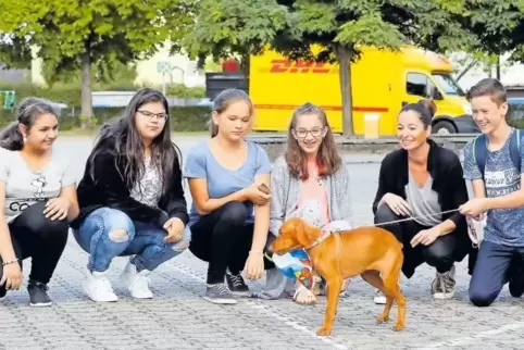 Schüler sind begeistert von Suna, Lehrerin Nadine Schwarz hält den Einsatz ihres Schulhundes für pädagogisch wertvoll.