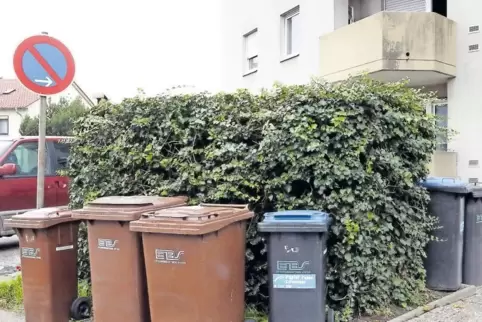 Abholtag: Mülltonnen vor einem Mehr-Parteien-Haus im Erlich.