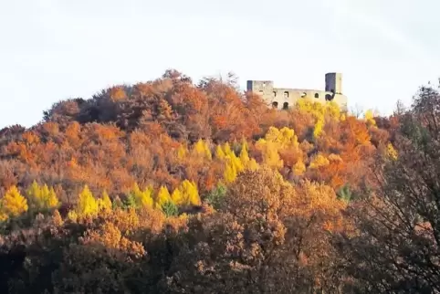 Die ehemaligen Herren der Burg Gräfenstein verschafften ihren Untertanen mit den Gräfensteiner Forstrechten Zugang zu ihrem Wald