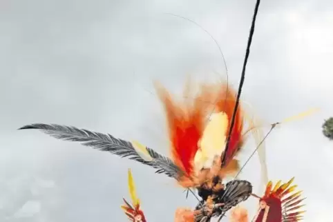 Die bunt bemalten Mitglieder der Clans Papua-Neuguineas haben Ursula Adler und Marion Viertl fasziniert. Bilder wie dieses zeige