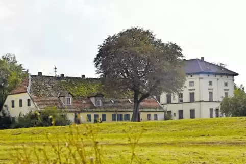 Das alte Hofgut auf der Silbersee-Halbinsel Scharrau: Der BUND ist gegen den hier geplanten Hotelneubau. Das Gebiet sei Lebensra