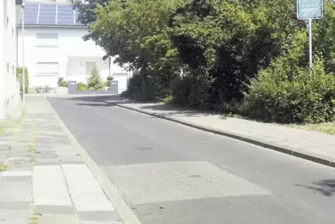 Haben eine Frischzellenkur nötig: Fahrbahn und Gehwege in der Straße „Gutenbergplatz“ im Ortsteil Dannstadt.