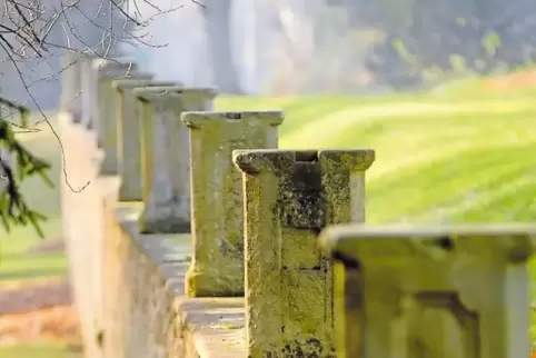 Bietet zu jeder Jahreszeit interessante Ansichten: der Schlossgarten in Kirchheimbolanden.