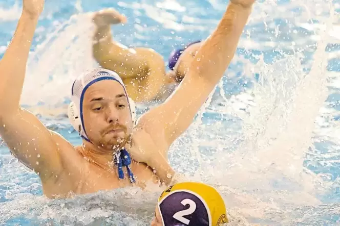 Linkshänder Martin Görge (hier gegen Plauen) ist neben Kapitän Matthias Held der dienstälteste Spieler beim SC Neustadt. Linkshänder Martin Görge (hier gegen Plauen) ist neben Kapitän Matthias Held der dienstälteste Spieler beim SC Neustadt.