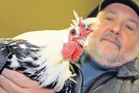 Ferdinand Tremmel mit einer Appenzeller Spitzhaube. Das weißgetupfte Gefieder ist schön anzuschauen – ob das Huhn auch auf Schwy