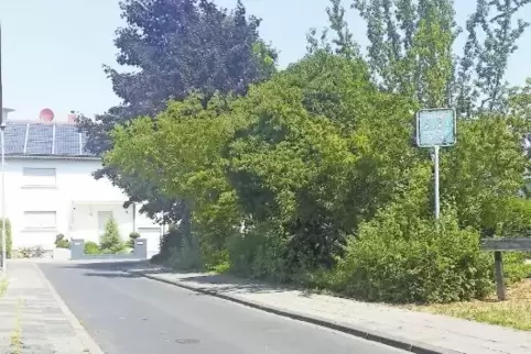 Haben eine Frischzellenkur nötig: Fahrbahn und Gehwege in der Straße Gutenbergplatz im Ortsteil Dannstadt. Ein erster grober Ent