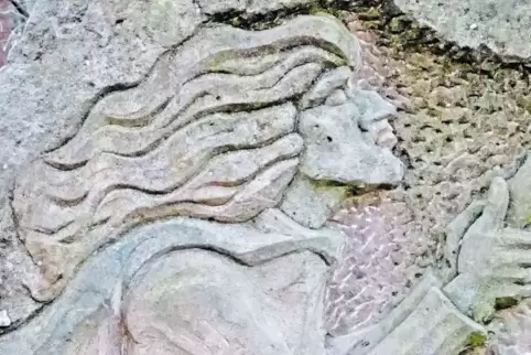 Das Sandstein-Relief mit der sagenhaften Hexe hat der Pfälzerwald-Verein Wachenheim 1981 im stadtnahen Wald aufgestellt.
