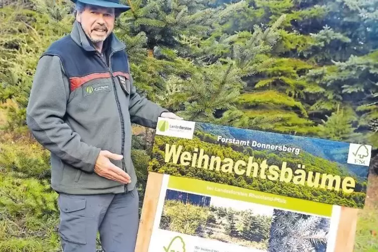 Revierförster Wolfgang Mögenburg auf der Weihnachtsbaumkultur des Forstamtes beim Wackenbornerhof.