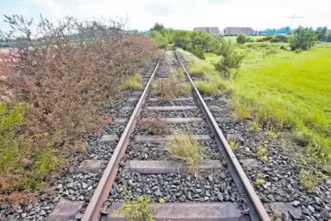 Als Radweg im Gespräch: Die Schienentrasse der früheren Bachbahn bei Erfenbach.