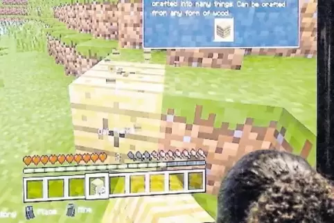 Um das Online-Spiel „Minecraft“ drehten sich die Anstrengungen der Hacker.