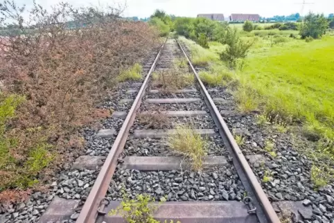 Die Schienentrasse der früheren Bachbahn bei Erfenbach: Auf der Trasse soll mal ein Radweg entstehen.
