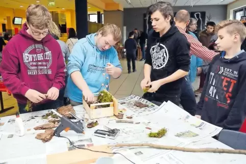 Einer der „Renner“ am Infotag der Realschule plus Winnweiler: selbstgebastelte Weihnachtskrippen.