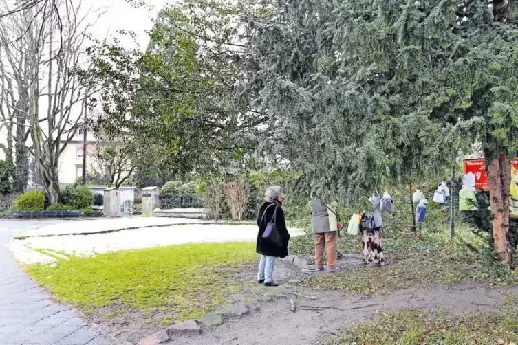 Vorplatz Adenauerpark: Die Gestaltung ist umstritten. Rechter Bildrand: der Warmnachtsbaum.