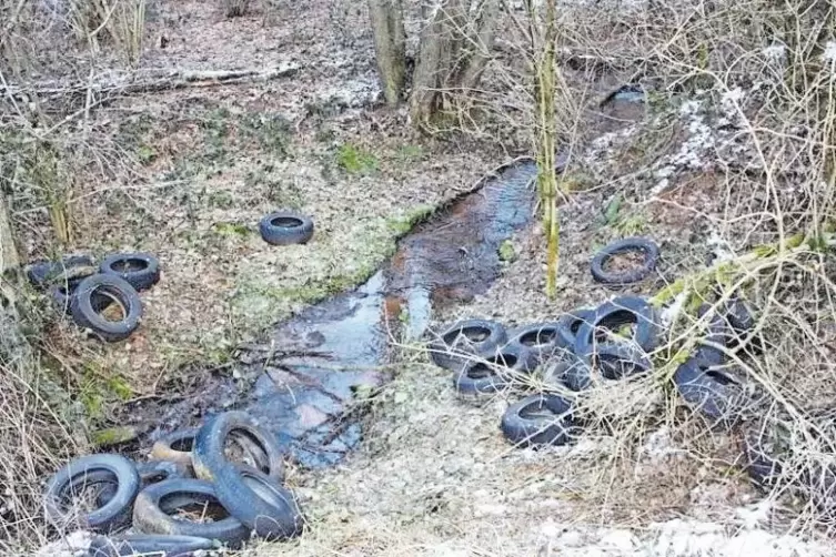 An das Bachufer beim Silzer See haben Unbekannte am 9. Februar rund 80 Reifen geworfen, manche landeten auch im Wasser.
