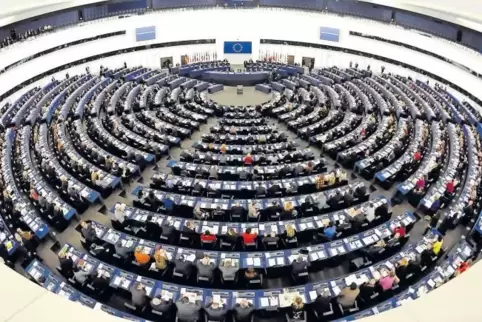 Künftiger Arbeitsplatz von Michael Detjen (kleines Bild links): der Plenarsaal des Europaparlaments in Straßburg.