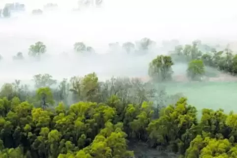 Landschaftlich sehr schön: die Rheinauen, nach denen die Verbandsgemeinde benannt wurde. Doch so idyllisch es um die vier Dörfer