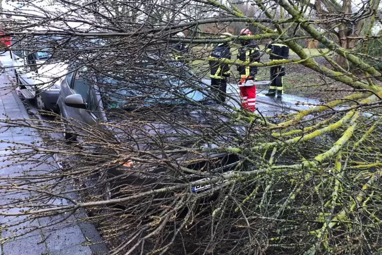 Landau_Sturm_Burglind_2018_01_03_FEUERWEHR.jpg