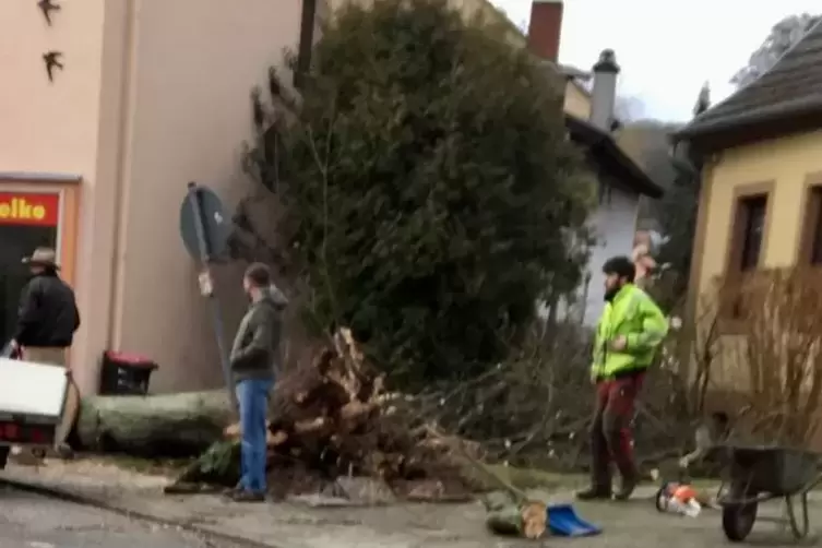Breitenbach_Dorflinde_kaputt_Orkan_Burglinde_2018_01_03_ALTHERR.jpg