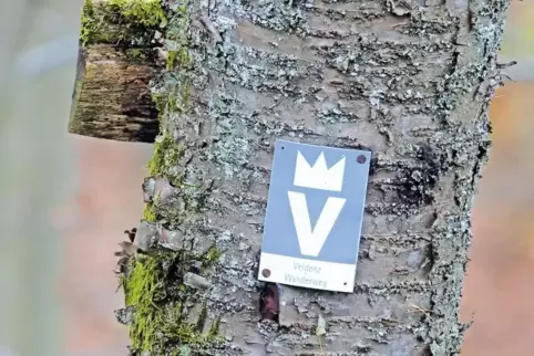 Führt von Burg Lichtenberg bis nach Lauterecken: der Veldenz-Wanderweg.