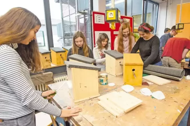 Ökologische und ökonomische Aspekte vereinen sich in der 2016 gegründeten Schülerfirma »NaReGa«: Schüler verschiedener Klassenst
