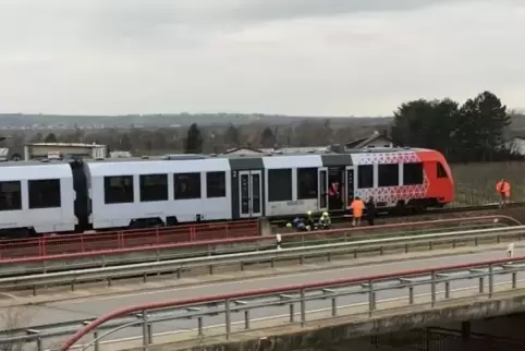 Der Zug steht: Schuld ist laut Deutscher Bahn ein Einkaufswagen im Gleisbett. Foto: Franck 