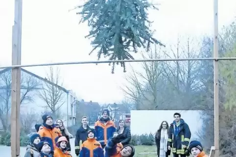 Da fliegt er, der Weihnachtsbaum...