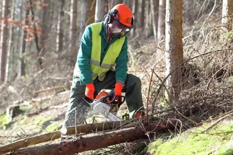 Manfred Dully vom Verkehrsverein Rodalben ist seit Tagen im Einsatz, um umgefallene Bäume auf dem Felsenwanderweg zu beseitigen.