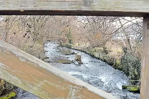 Blick auf den Speyerbach von der Fußgängerbrücke zwischen Aldi- und Lidl-Markt.