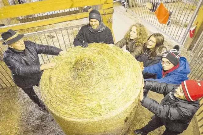 Die Schüler der Bauernhof-AG helfen Thomas Zinßmeister beim Lagern der Rundballen. Die Schüler der Bauernhof-AG helfen Thomas Zinßmeister beim Lagern der Rundballen.