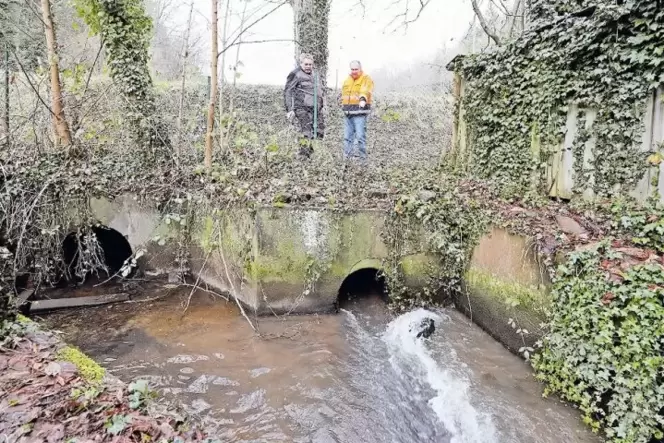 Vom Schwanenweiher bis zur Therme soll der Erlenbach offengelegt werden. Karl-Heinz Schimpf (links) und Klaus Schultz vom Garten Vom Schwanenweiher bis zur Therme soll der Erlenbach offengelegt werden. Karl-Heinz Schimpf (links) und Klaus Schultz vom Garten