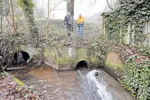 Vom Schwanenweiher bis zur Therme soll der Erlenbach offengelegt werden. Karl-Heinz Schimpf (links) und Klaus Schultz vom Garten