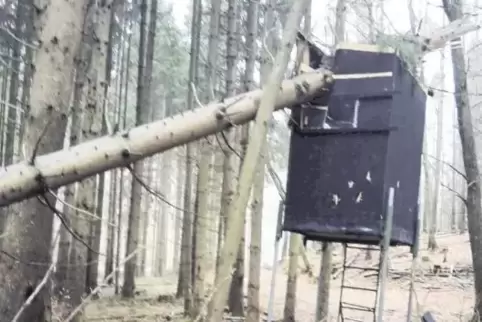 Im Wald, hier im Revier Rumbach, hat Sturm „Burglind“ gewütet. Die Folgen dürfen nicht unterschätzt werden: Das Forstamt in Dahn
