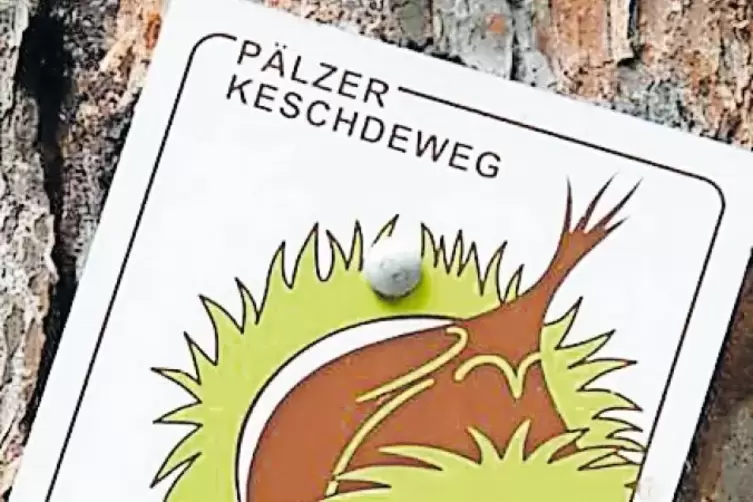 Gewaltig: Etwa 60 Kilometer ist der gesamte Keschdeweg lang.