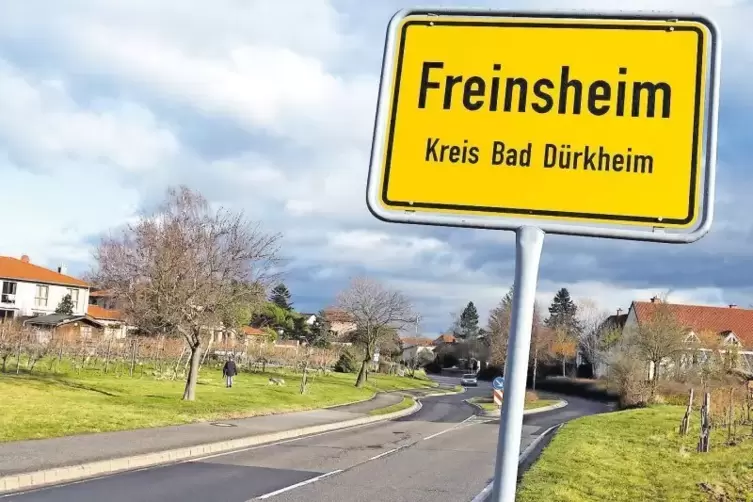 Wohin Freinsheim? Ob ein Leitbild die Stadt weiterbringt, darüber war der Stadtrat uneins.