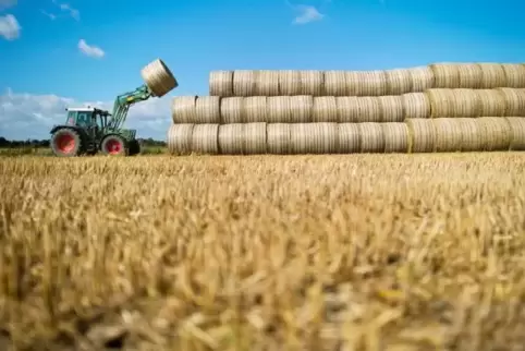 Weniger, dafür größere Höfe: Diese Entwicklung macht auch vor der rheinland-pfälzischen Landwirtschaft nicht halt. Foto: DPA
