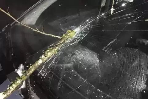 Dem Fahrer des Autos ist nichts passiert.  Foto: POLIZEI