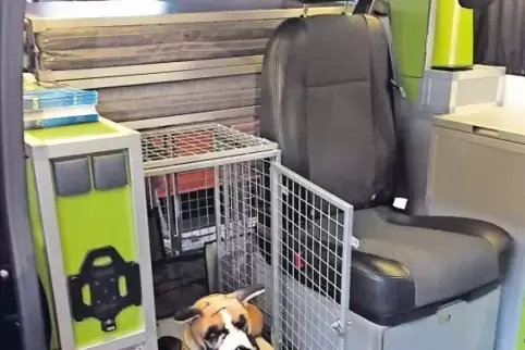 Ideal gesichert ist ein Vierbeiner zum Beispiel im Reisemobil Dogscamper, das auf der gerade beendeten Freizeitmesse CMT in Stut