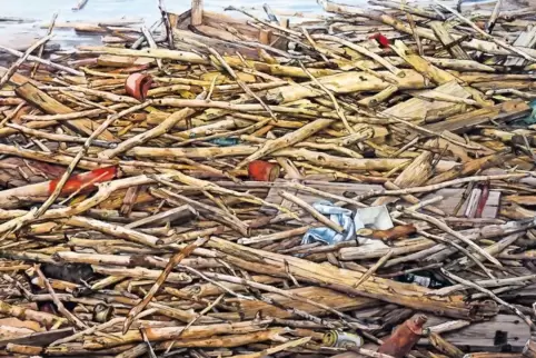 Keine belebten Objekte: „Angeschwemmtes I“ (Öl, 2010) von Werner Brand.