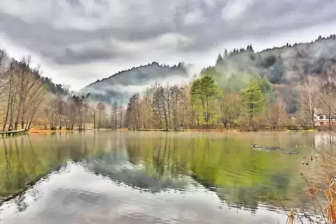 Der Helmbachweiher im Elmsteiner Tal soll in diesem Jahr ausgebaggert werden.