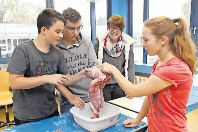 Die Zusammenarbeit mit der Uni ist nichts grundsätzlich Neues: