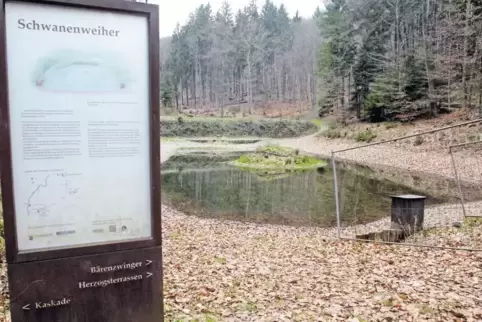 Je nach Witterung ist das Wasser am unteren Schwanenweiher, der vielen als Wasserspielplatz diente, derzeit nur zwischen einem h
