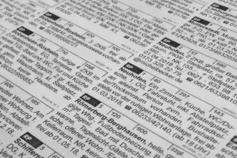 Was gibt es an freien Wohnungen im Kreis und zu welchem Preis? Auch diesen Fragen ist die Firma Analyse-Konzepte für ihre Ausarb