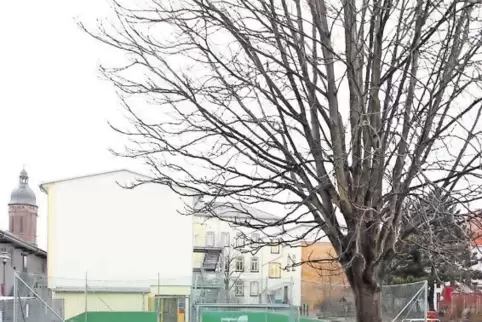 Eltern und Schule wollen Spielplatz und Minispielfeld erhalten.
